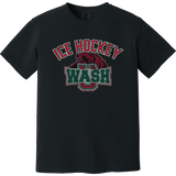 Wash U Heavyweight Ring Spun Tee