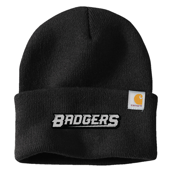 Allegheny Badgers Carhartt Watch Cap 2.0