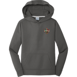 Delaware Ducks Youth Performance Fleece Pullover Hooded Sweatshirt