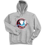 Jersey Shore Whalers Ultimate Cotton - Pullover Hooded Sweatshirt