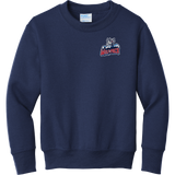 CT Wolfpack South Youth Core Fleece Crewneck Sweatshirt