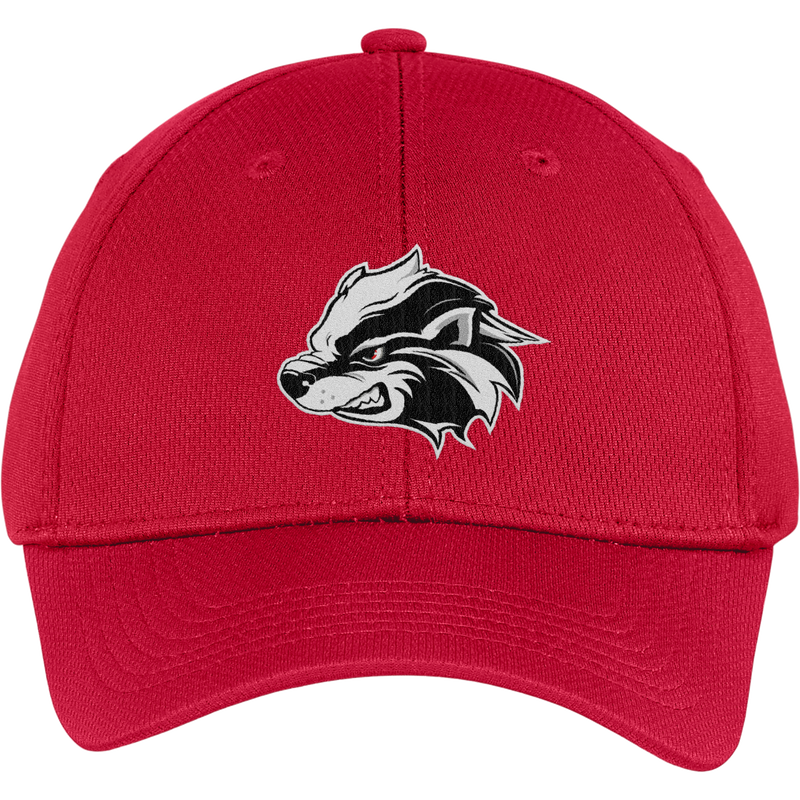 Allegheny Badgers Youth PosiCharge RacerMesh Cap