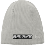 Allegheny Badgers New Era Knit Beanie